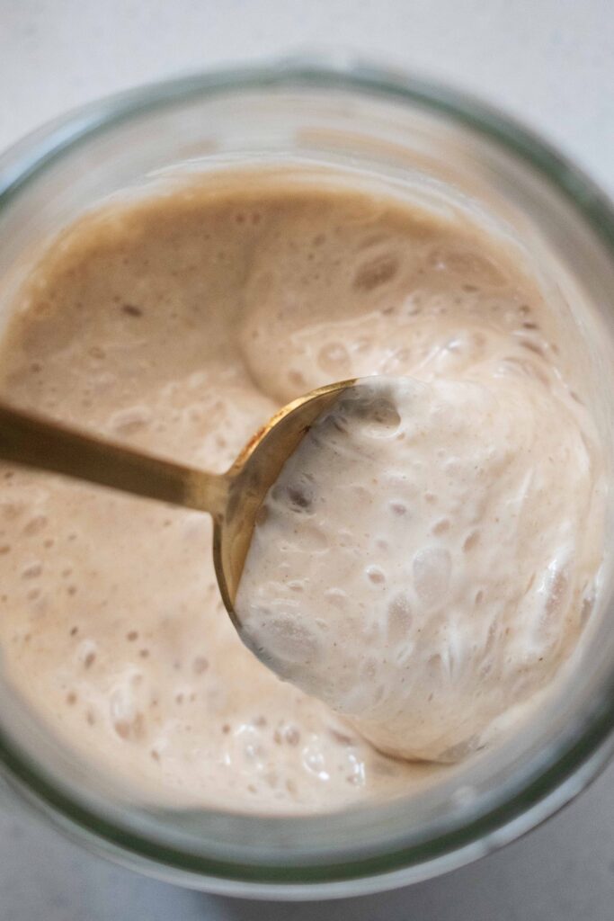 sourdough starter #thebigtastybite