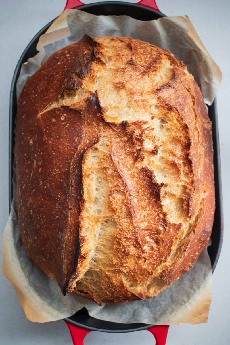 Sourdough for Beginners in a Le Creuset Pot